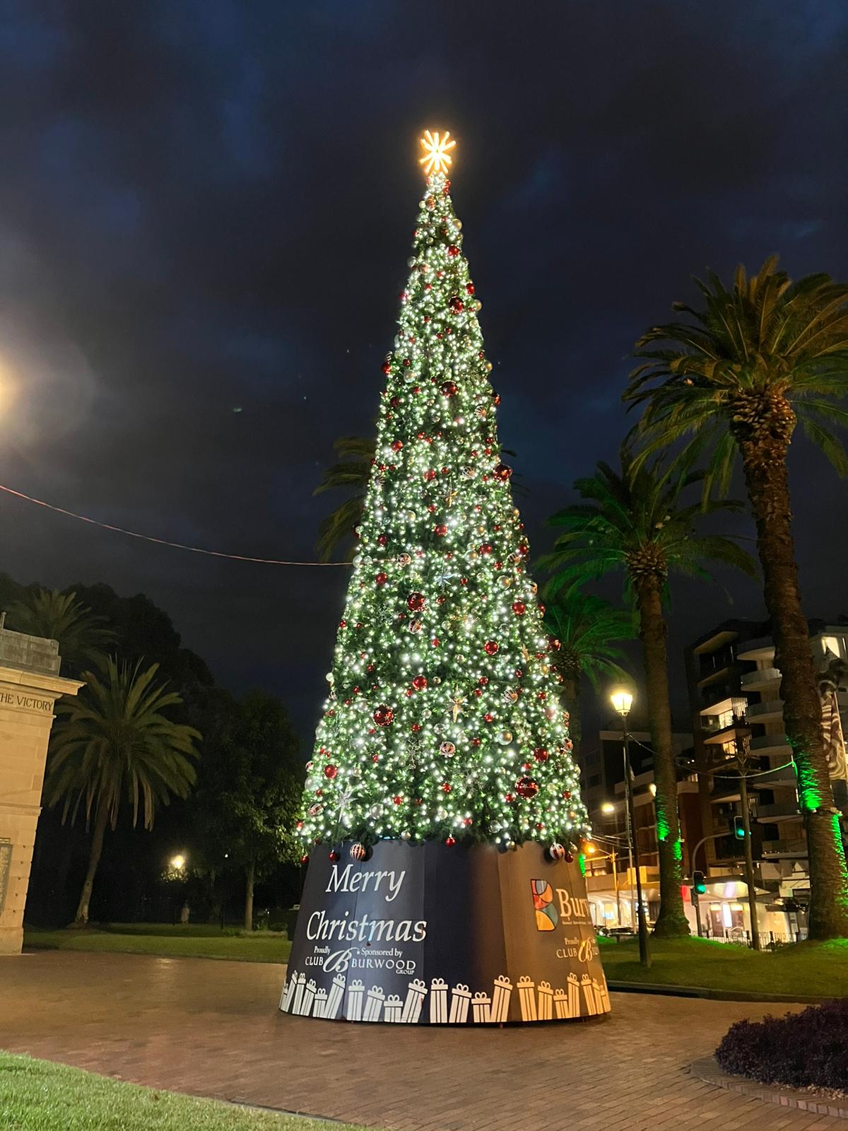16m Outdoor Christmas Tree
