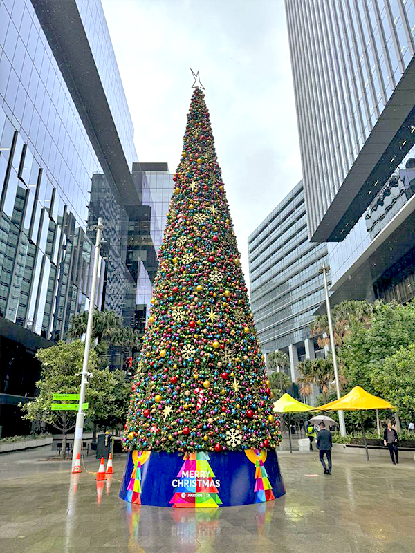 16m Outdoor Christmas Tree